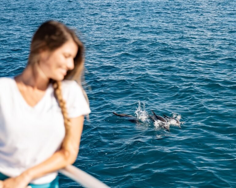 Dolphin Snorkel Tour Oahu 768x614