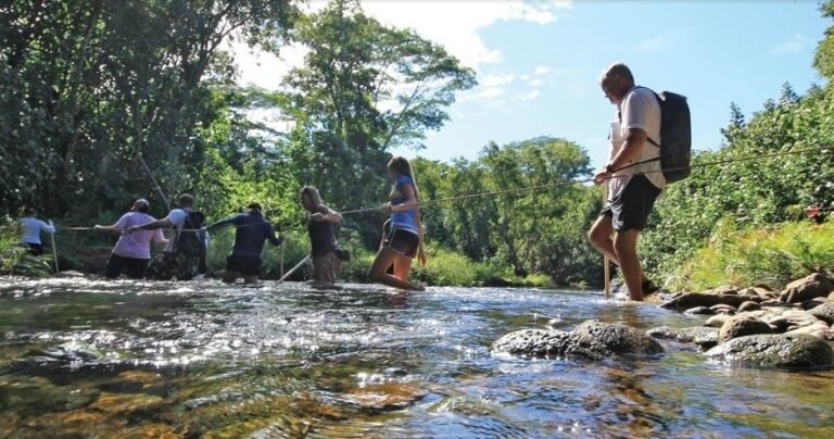 kayak kauai stream 768x404