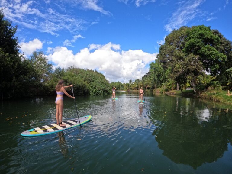 Full Day Oahu Adventure4 768x576