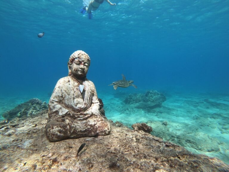 Full Day Oahu Adventure6 768x576