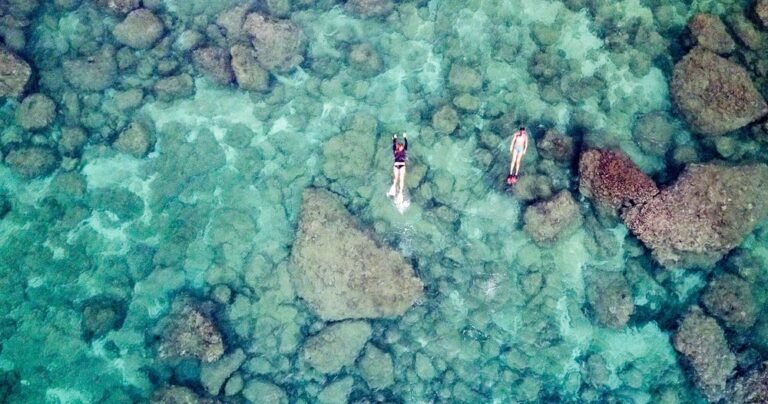 Sharks Cove Self Guided Snorkel 1 768x404