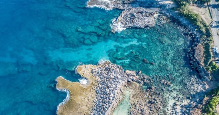 Sharks Cove Self Guided Snorkel 3 768x405