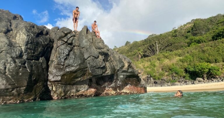 Surf Bus North Shore Tour2 768x404