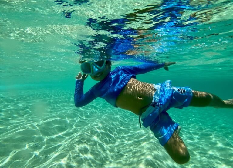 Surf Bus North Shore Tour3 768x554